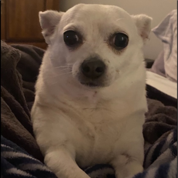 Meet your Posher, Lynne - Picture 1 of 1